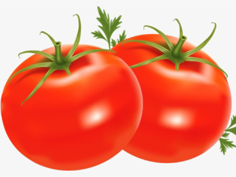 Paradajz VR-414 F1 - visoki - Slika 1