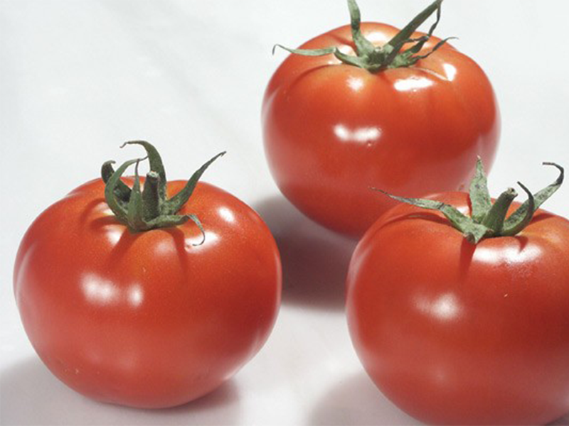 Paradajz Rally ez F1 - Slika 1