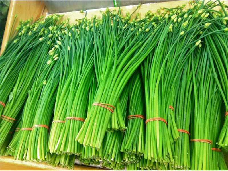 Luk Vlasac Welta - Slika 1