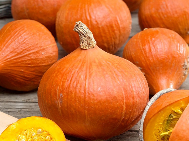 Tikva Uchiki Kuri - Slika 1