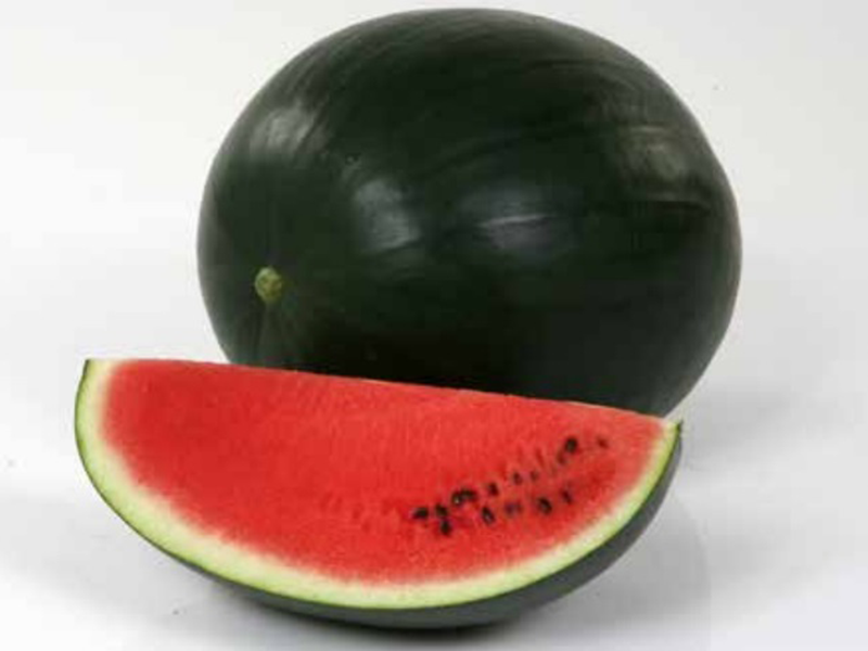 Lubenica Red Star f1 1000s NU