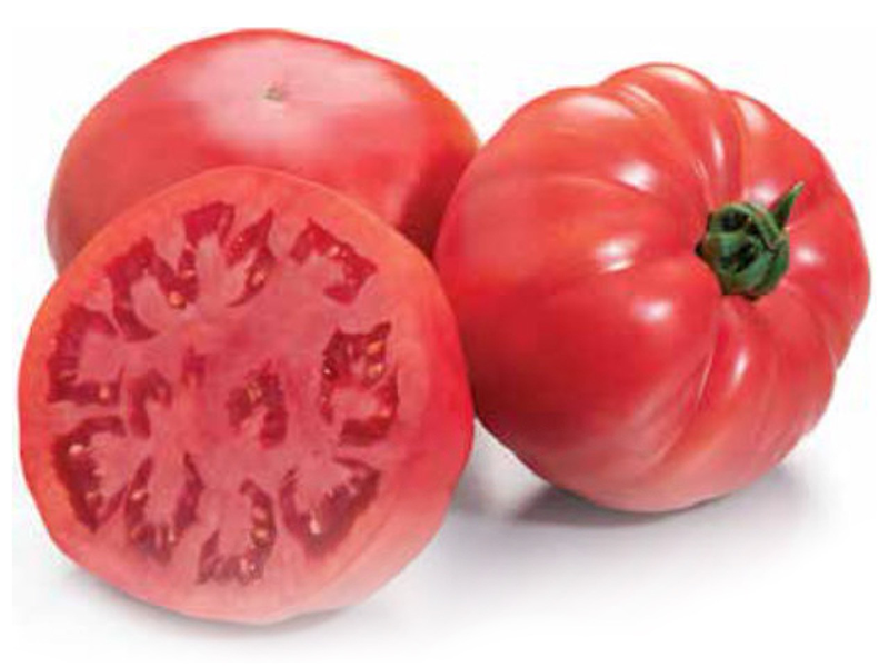 Paradajz Sonarosa F1 - visoki - Slika 1