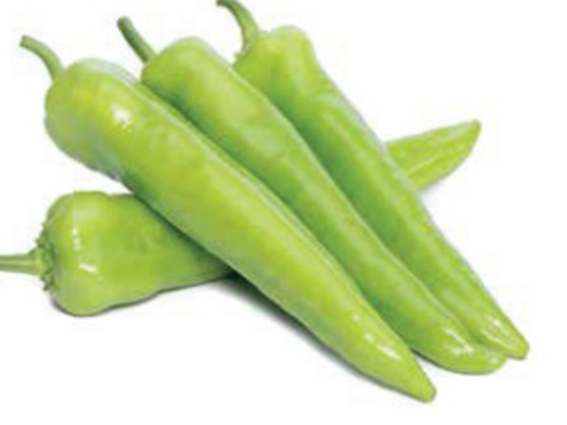 Paprika Excalibur F1 500s yuk