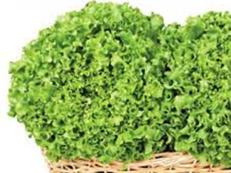 Salata Papyon 5000s yuk