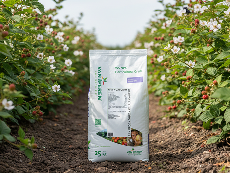 min.djub.13x7x24 1Kg V.Iper