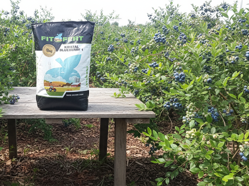 BlueBerry I 20x5x10 10/1 Fito Fert