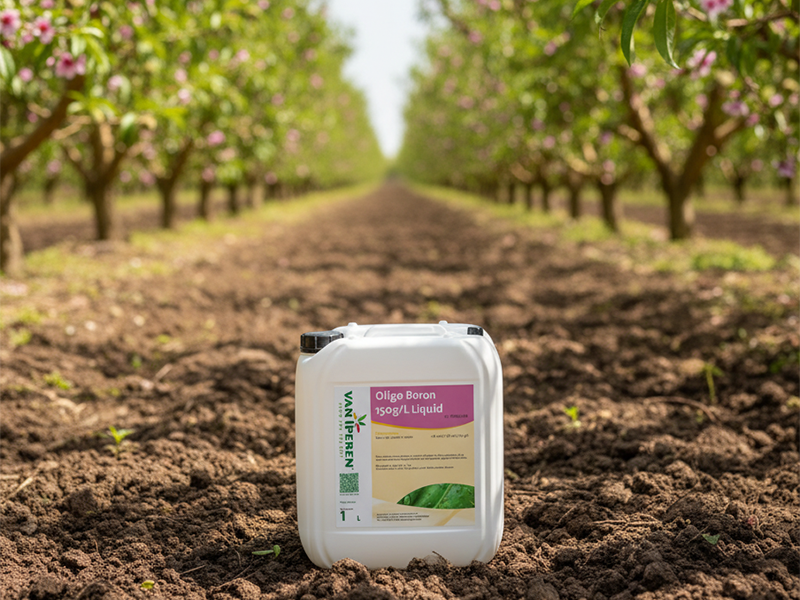 Cal Boron Liquid 1L Van Iperen