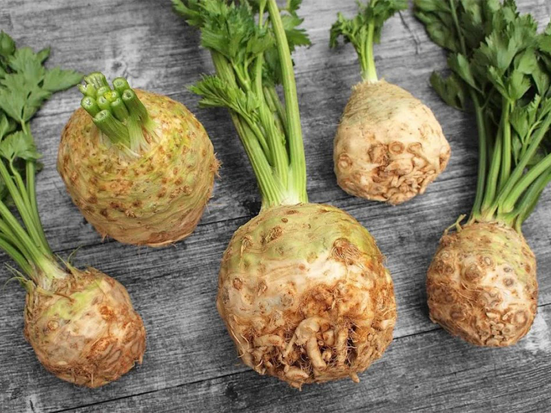 Celer Hansi 5g Grower seeds