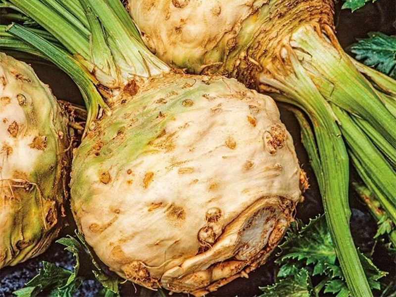 Celer Neon 5g Grower