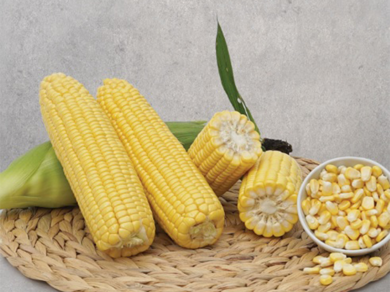 Kukuruz secerac Baha f1 5000s Grower