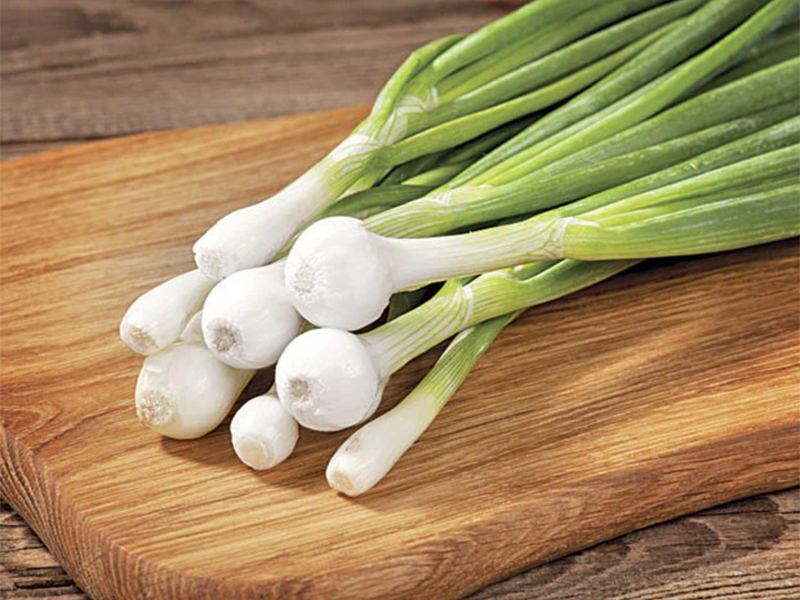 Luk seme Tipika 100g Grower