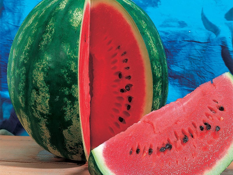 Lubenica Crimson Sweet AgroTIP - Slika 1