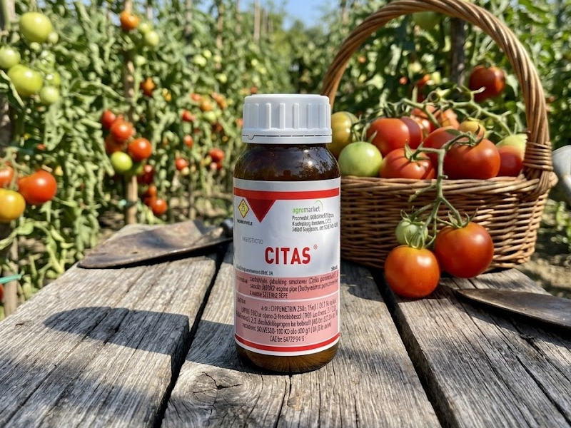 Citas - Slika 1