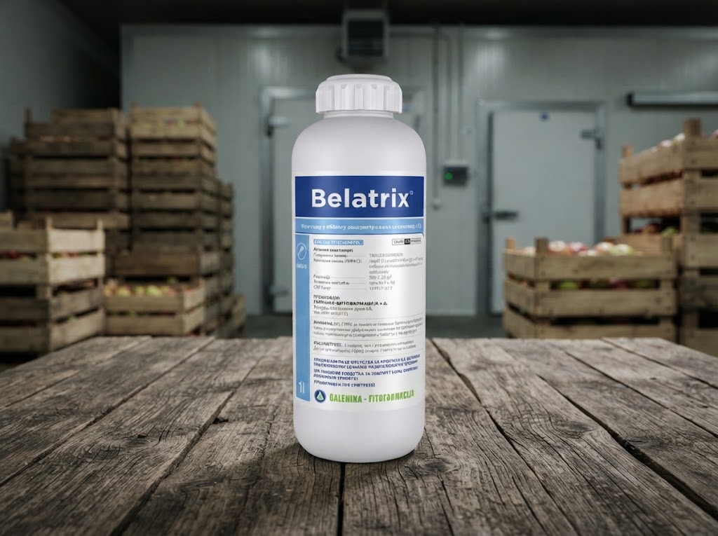 Belatix - Slika 1