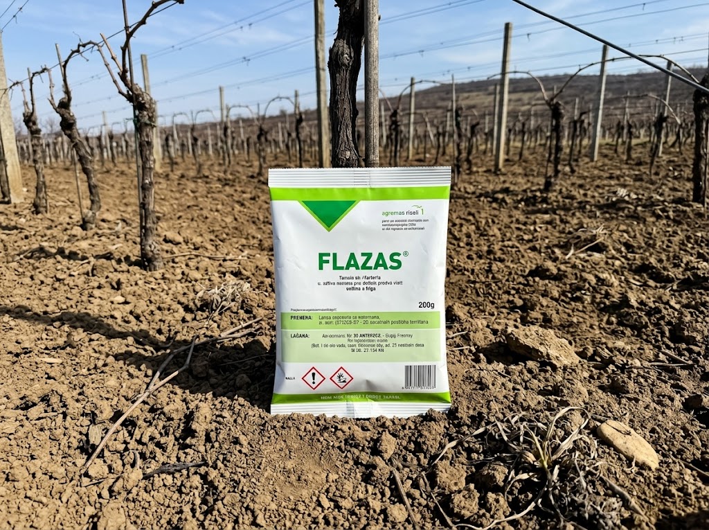 Flazas 20g