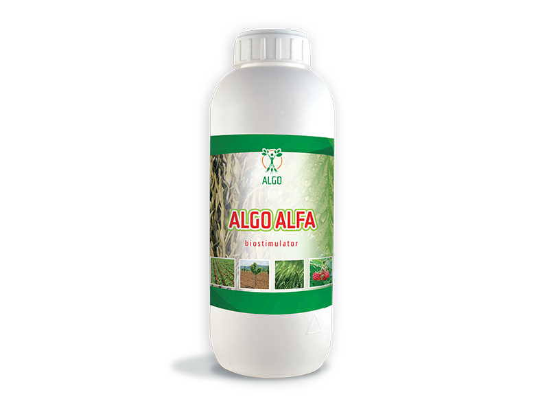 Algo alfa 1lit Algo Tehnology