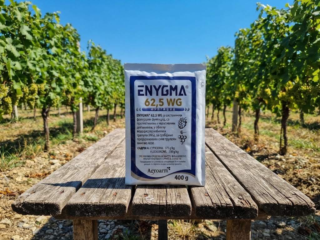 Enygma 62.5 WG / 100g