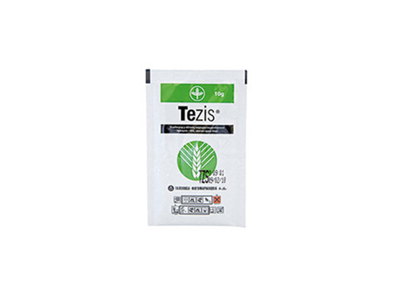 Tezis / 10g