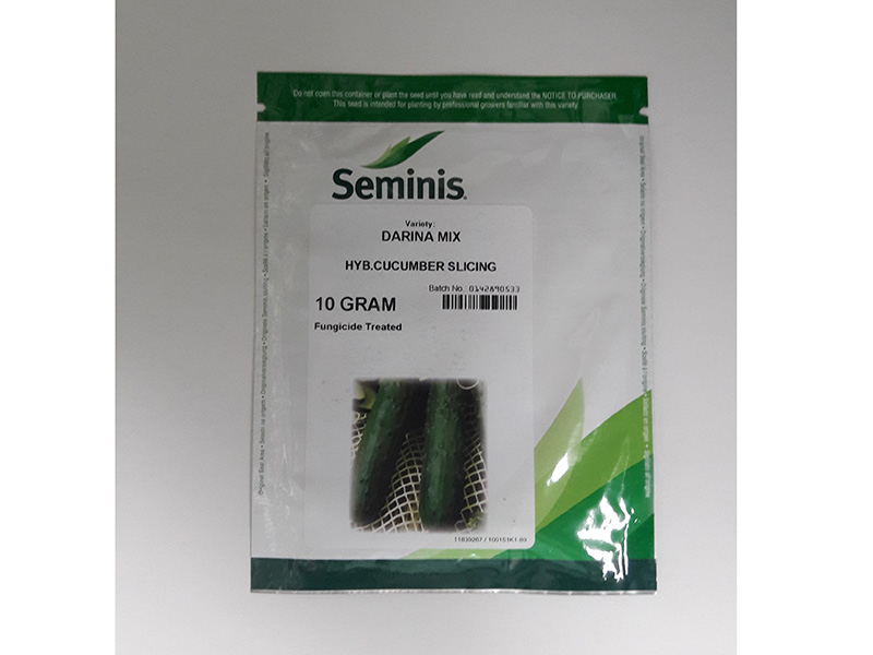 Seme krastavca Darina F1 - Slika 2