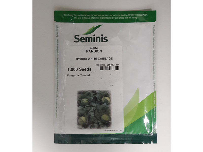 Seme kupusa Pandion F1