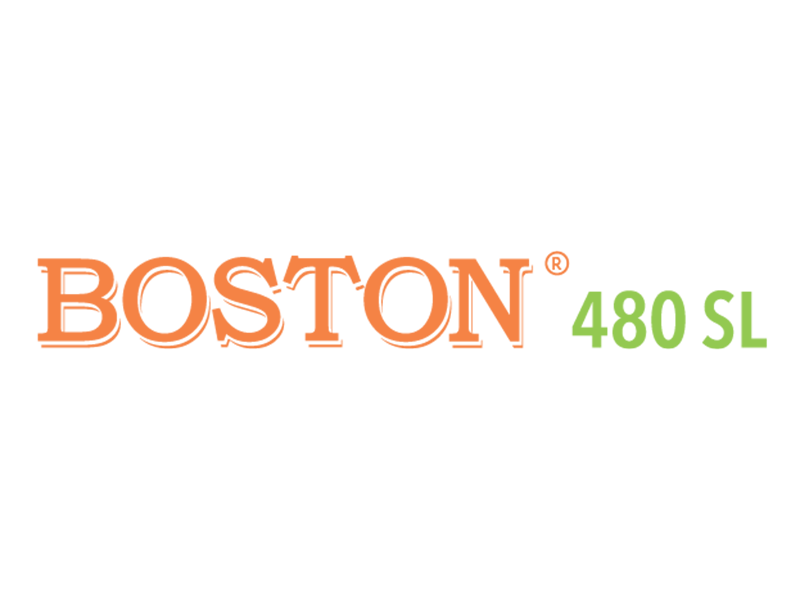 Boston 480 SL / 1lit