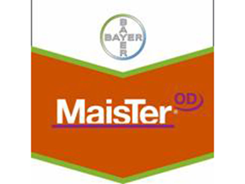 Maister OD - Slika 2