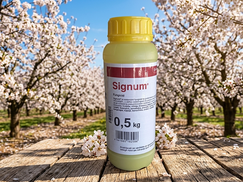 Signum - Slika 2