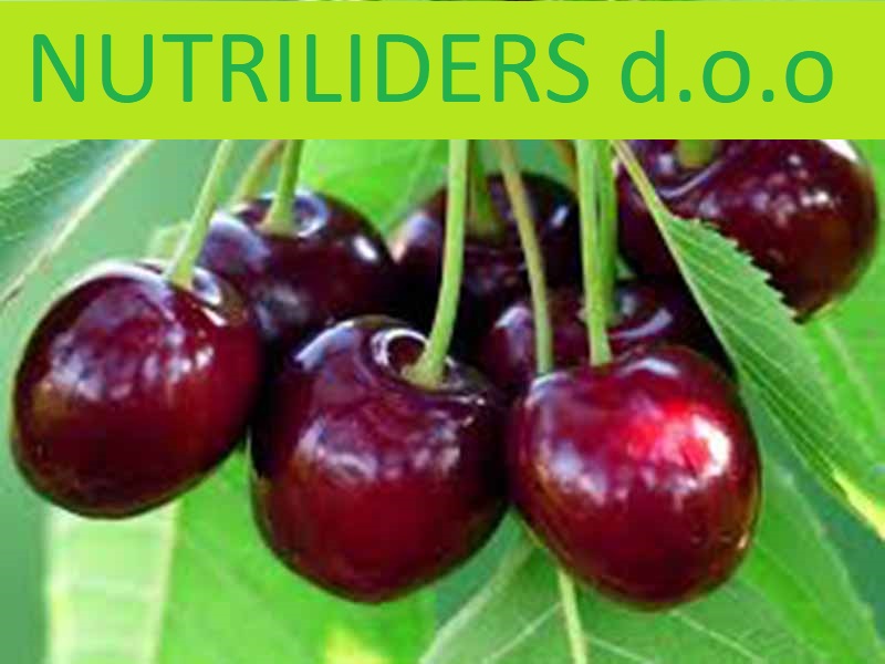 NUTRILEADERS – PROGRAM FOLIJARNE ISHRANE TREŠNJE