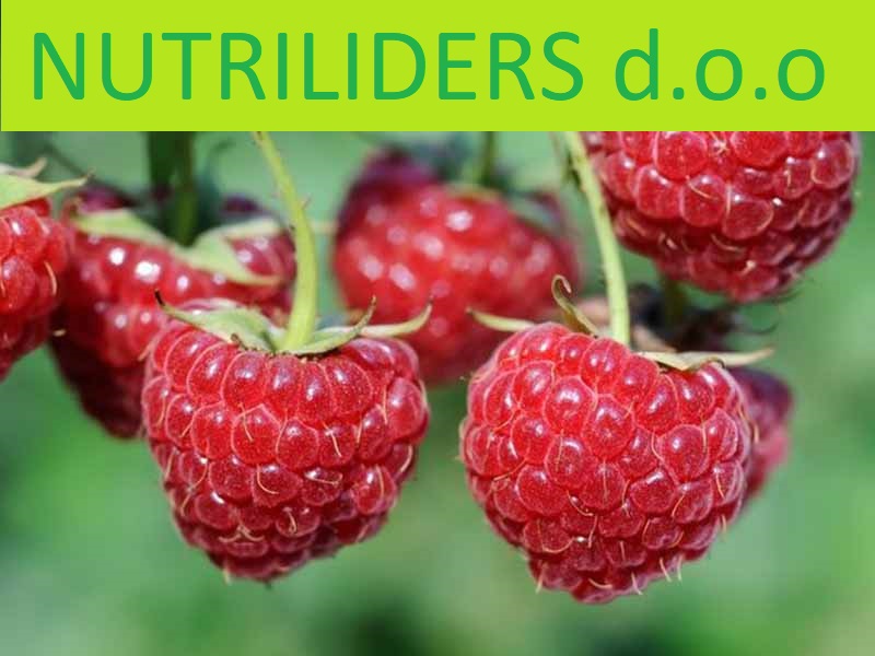 NUTRILEADERS – PROGRAM FOLIJARNE ISHRANE MALINE