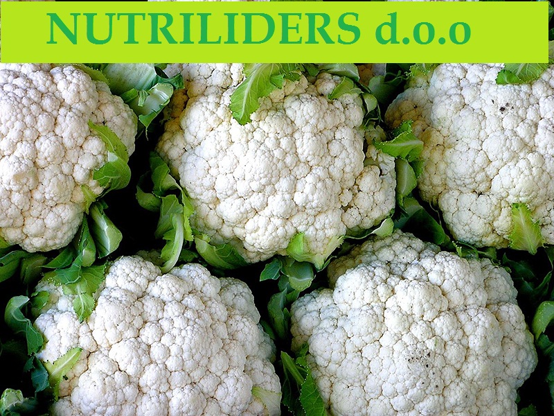 NUTRILEADERS – PROGRAM FOLIJARNE ISHRANE KARFIOLA