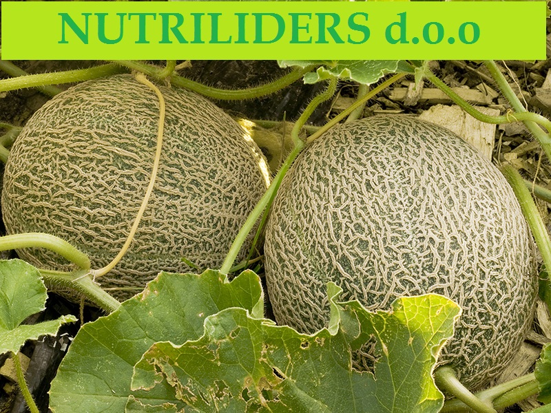 NUTRILEADERS – PROGRAM FOLIJARNE ISHRANE DINJE