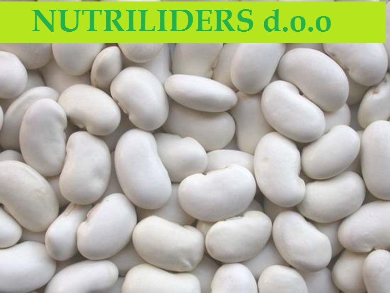 NUTRILEADERS – PROGRAM FOLIJARNE ISHRANE PASULJA