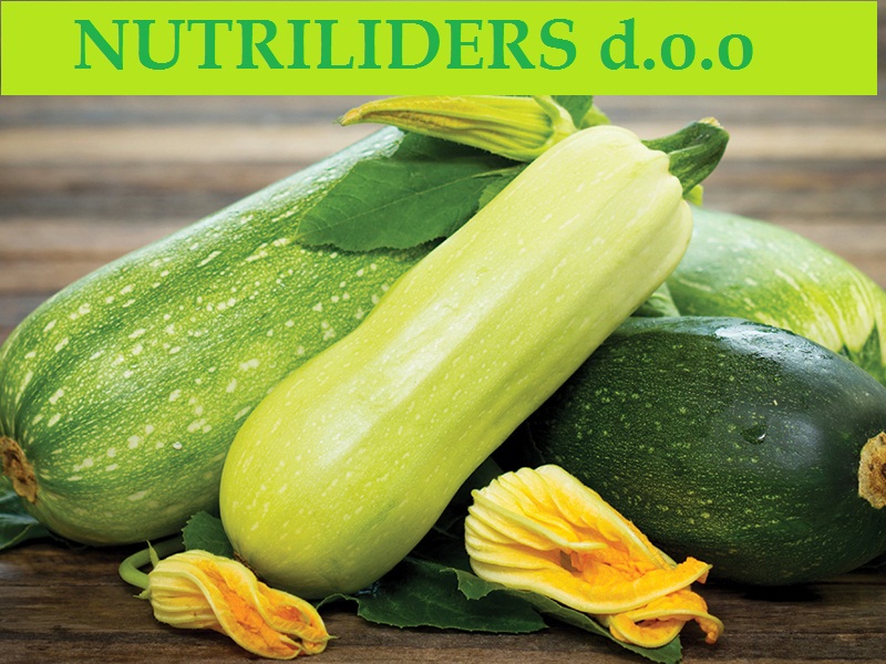 NUTRILEADERS – PROGRAM FOLIJARNE ISHRANE TIKVICE