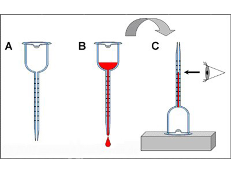 Kako koristiti vinomer (bernadotova)