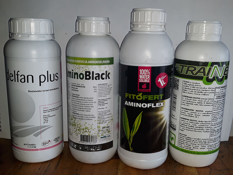 Kako podići vinovu lozu iz stresa