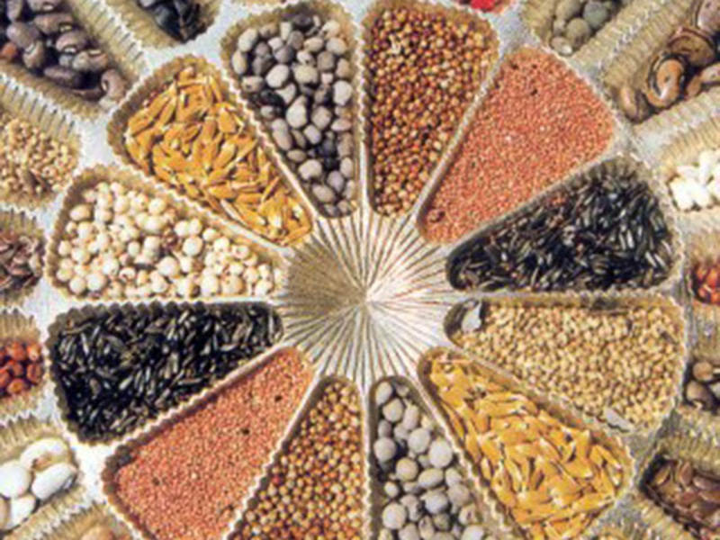 Bio gnezdo u ratarstvu i povrtarstvu