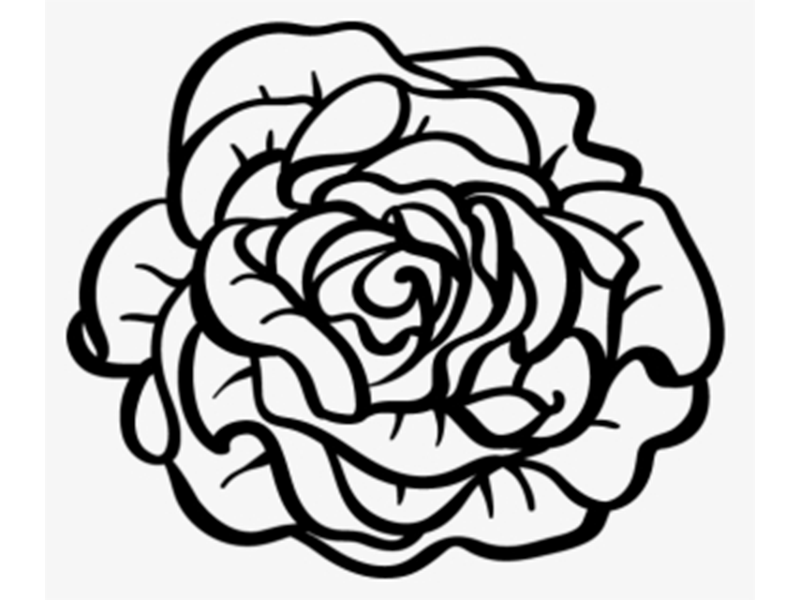 Oznake otpornosti na bolesti, viruse i stetocine salate