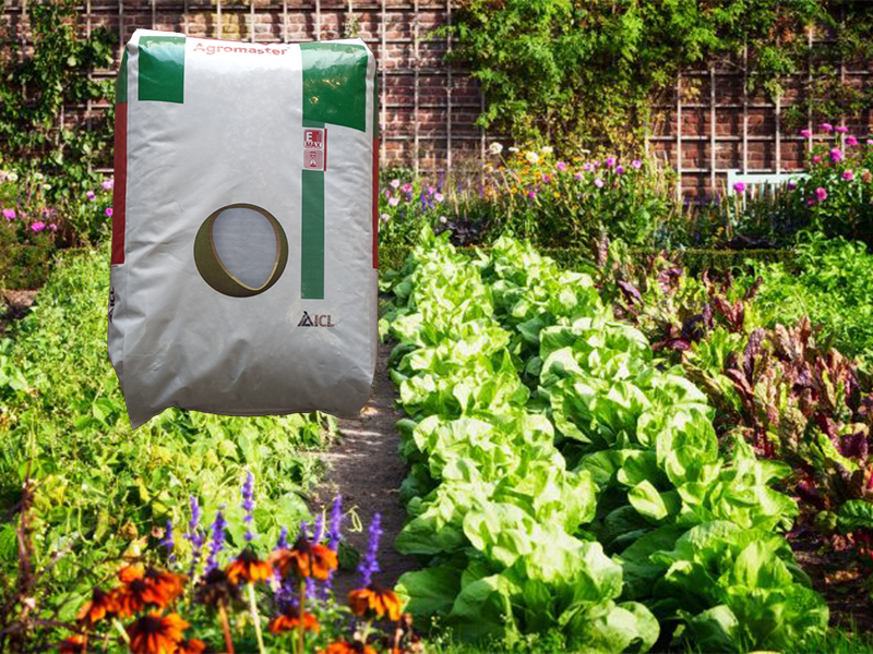 Primena Agromaster djubriva 10-11-21 u povrtarstvu