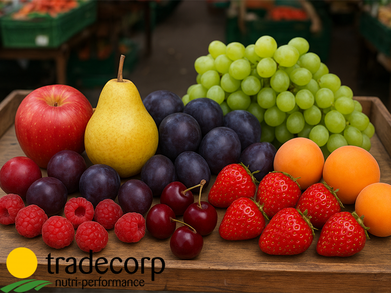 Trade Agro - ponuda proizvoda u vocarstvu