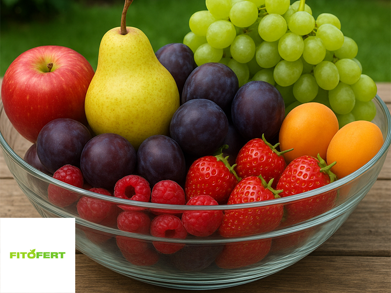 Fito Fert -Ponuda proizvoda u vocarstvu