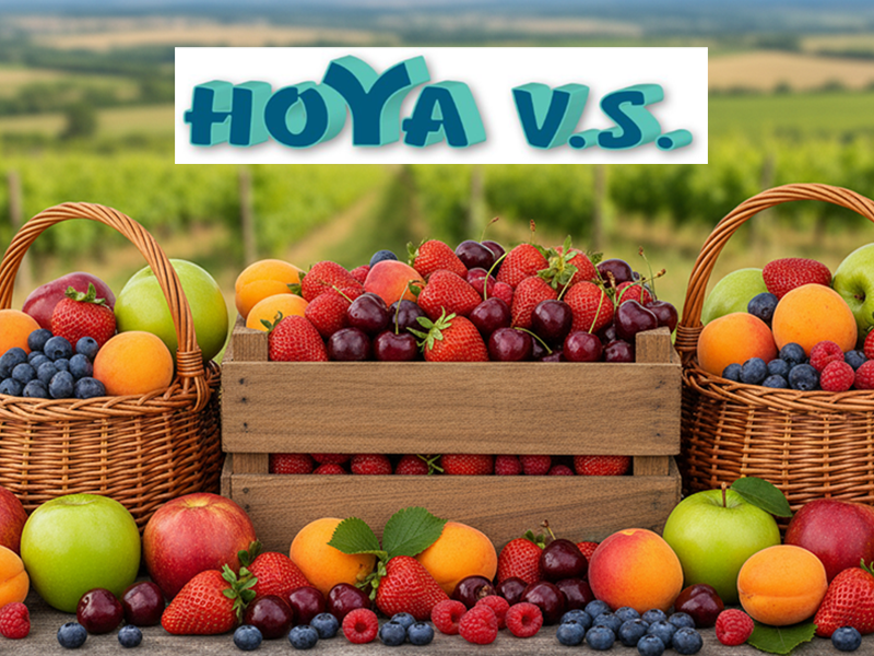 Hoya VS - Ponuda proizvoda u vocarstvu