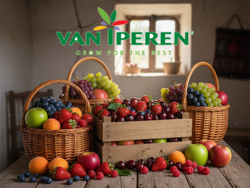 Van Iperen - Ponuda proizvoda u vocarstvu