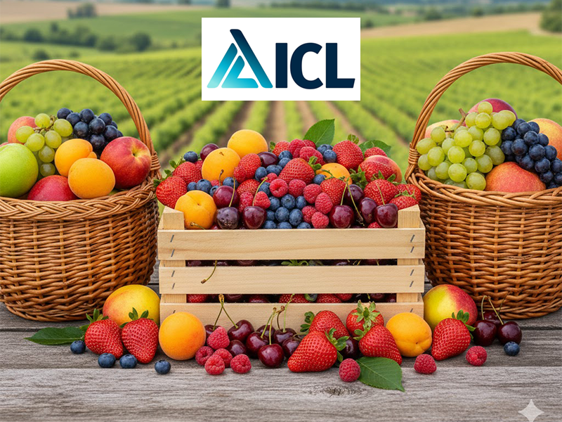 ICL (Virginia) - Ponuda proizvoda u vocarstvu