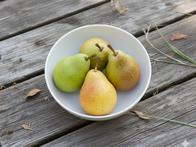 Folijarna ishrana kruske - PRIMENA - Slika 1