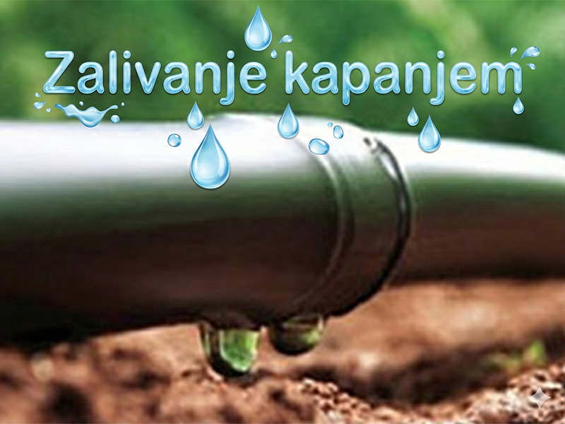 Navodnjavanje kapanjem