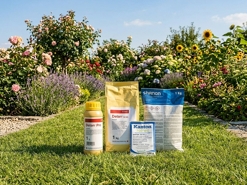 Sampioni u prevantivnoj zastiti voca - DITIANONI